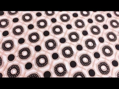 Mass Stock Water Soluble Laces Trim Guipure Embroidery Lace Trim fabric