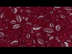 Embroidery 100% Polyester Cotton Lace Ribbon Guipure Lace Trim